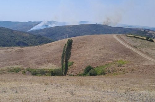 İsmayıllıda dağlıq ərazidə meşə yanır