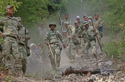 Gürcüstanda meşə yanğınlarının söndürülməsinə ordu cəlb olunacaq