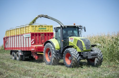 Ağdaşda təkrar qarğıdalı əkininə, qarğıdalı silosunun hazırlanmasına həsr olunmuş açıq tarla müşavirəsi keçirilib