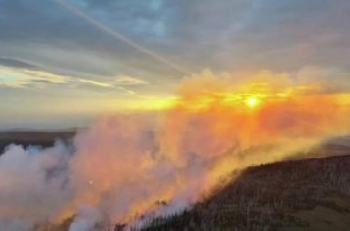 Almaniyanın Harz dağlarında meşə yanğını: Fövqəladə vəziyyət ELAN EDİLİB