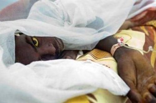 Nigeriyada sarı qızdırmadan 14 nəfər ölüb