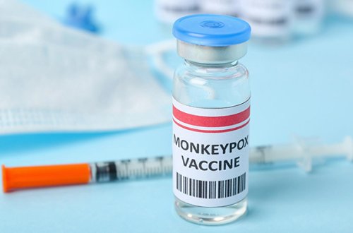 Rusiya meymunçiçəyinə qarşı peyvənd hazırladı