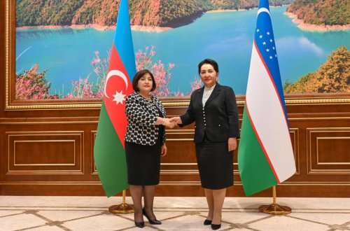 Sahibə Qafarova Özbəkistan Ali Məclisi Senatının sədri ilə görüşüb