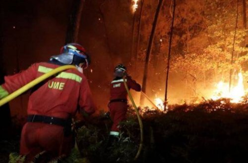 Türkiyədə meşə yanğını yaşayış məntəqələrinə yaxınlaşıb, yüzlərlə insan təxliyə edilib