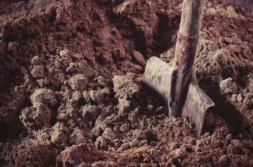 Rusiyada qadın körpəsini öldürüb atasının məzarında basdırdı