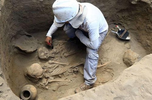 Gürcüstanda 1,8 milyon il əvvələ aid qədim insan dişi tapıldı