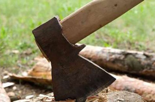 Binəqədidə ağacı zədələyən şəxs cəzalandırılıb