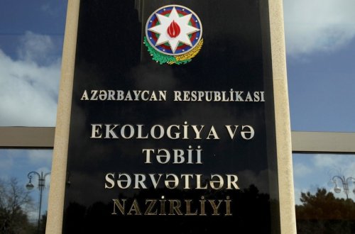 Xətai rayonunda ağacları kəsən şirkət cəzalandırılıb