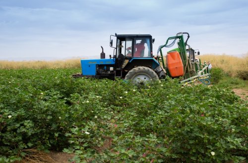 Azərbaycanda kənd təsərrüfatı xərcləri 20%-dən çox artırılır