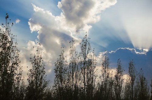 Bazar gününə olan hava proqnozu açıqlanıb
