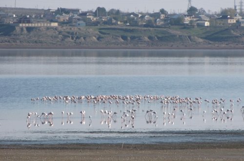 Hacıqabul gölünün bərpası üçün Milli Məclisdə komissiya yaradılır