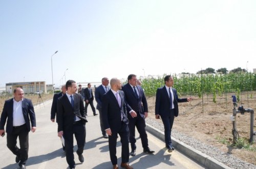 İsrail şirkətlərinin nümayəndələri Tərəvəzçilik Elmi-Tədqiqat İnstitutunun fəaliyyəti ilə tanış olublar