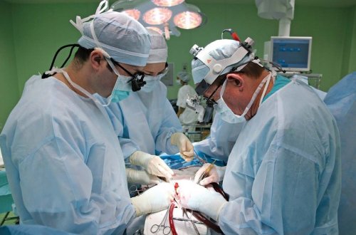 Azərbaycanda böyrək və qaraciyər köçürülməsi sahəsində ən böyük çatışmazlıqlar açıqlanıb