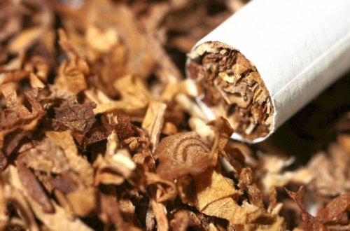 Tütün məmulatları məcburi nişanlamaya görə dövlət rüsumundan azad olunur