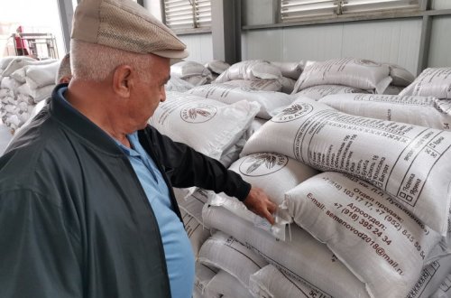 Bölgələrdə elit toxumların səyyar satışı aparılır