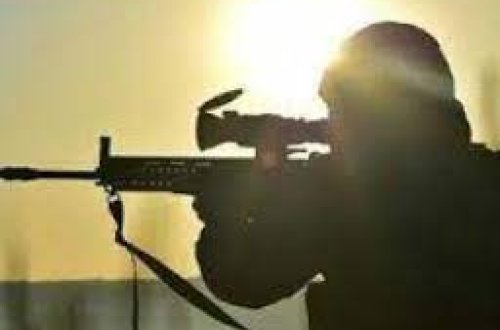 Türkiyə ordusu son 7 ildə 36 mindən çox terrorçunu məhv edib