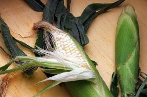 Qlobal taxıl ehtiyatları son on ildə ən aşağı səviyyəyə enib