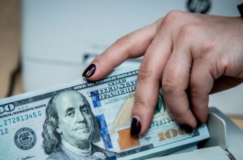 Bakıda qadın şirkətin 423 min dollarını mənimsəyib - İTTİHAM AKTI