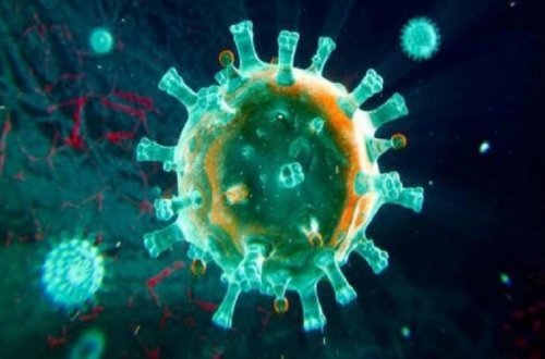 Suriyada vəbaya yoluxanların sayı 426-ya çatıb