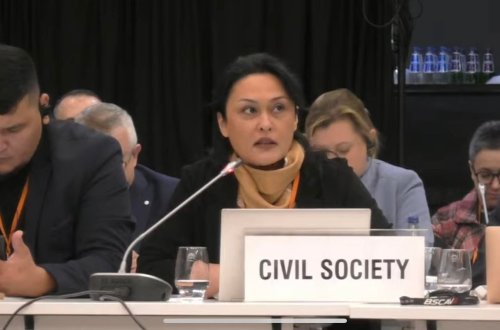 Günel Səfərova: Beynəlxalq təşkilatlar 30 il ərzində harada idilər? - VİDEO