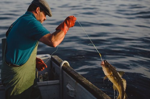 ETSN və DİN-in Su Nəqliyyatında Baş Polis İdarəsi əməkdaşlığa başlayıb