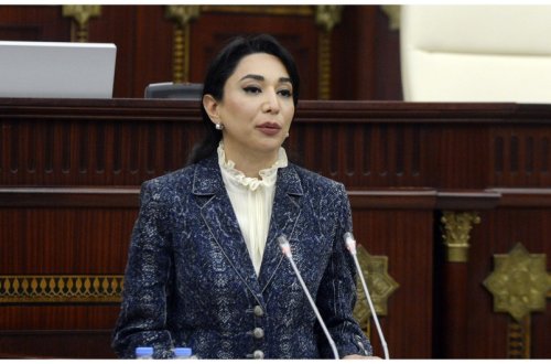 Ombudsman Füzuli və Tərtərdəki mina partlayışları ilə bağlı beynəlxalq ictimaiyyətə müraciət edib