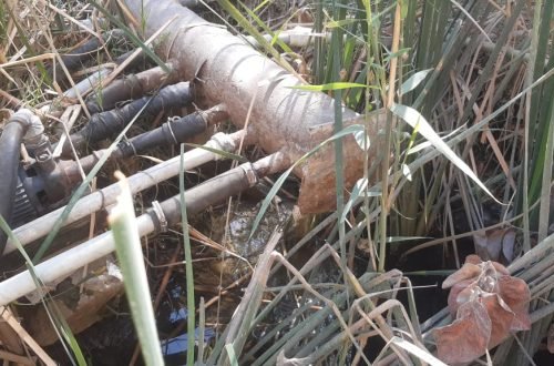 Hacıqabulun ən böyük qəsəbəsində içməli su tapılmır- Videoreportaj