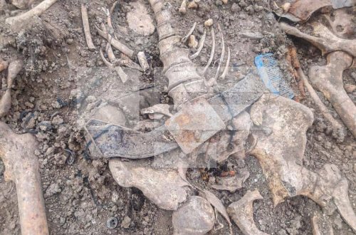 “Xocavənddəki kütləvi məzarlıq ermənilərin törətdiyi vandalizm aktıdır” – DEPUTAT