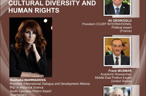 QHT Agentliyinin dəstiyilə BMT-nin Cenevre ofisinde side-event keçirilib - FOTO