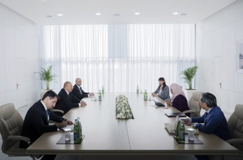 Prezident İlham Əliyev BMT-nin Məskunlaşma Proqramının icraçı direktorunu qəbul edib