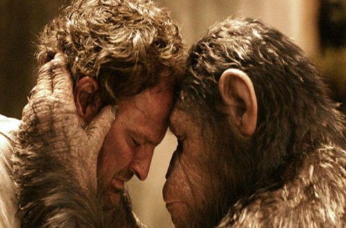 Daha bir ölümcül virus meymundan insana keçə bilər