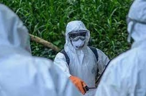 Uqandada Ebola epidemiyasından 29 nəfər ölüb