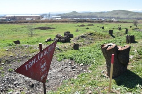 Ermənilər işğal dövründə Azərbaycana 16 milyard manatdan çox ekoloji ziyan vurub