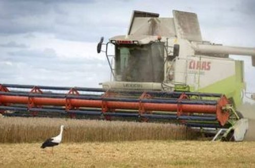 Ukrayna iqtisadiyyatı ilin ilk doqquz ayında 30 faiz azaldı