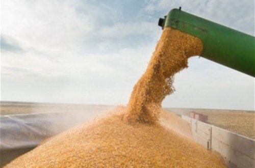 Rusiyanın Ukraynaya növbəti hava zərbələri buğdanın qiymətini bahalaşdırıb