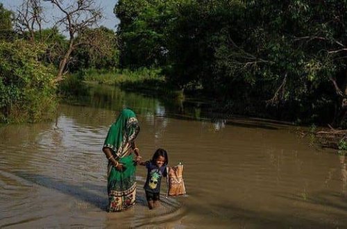 Hindistanda güclü yağışlar nəticəsində 21 nəfər ölüb