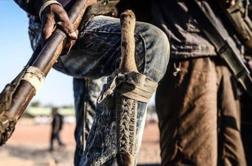 Nigeriyada 31 silahlı dəstə üzvü zərərsizləşdirilib