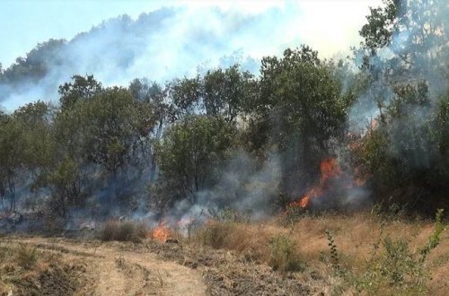 Oğuzda dağlıq ərazidə yanğın başlayıb