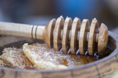 Bal yarmarkasında Qarabağ və Şərqi Zəngəzur iqtisadi rayonlarından 5 ton bal satışa çıxarılıb