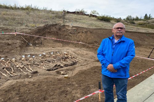 Niderlandlı yazıçı: 