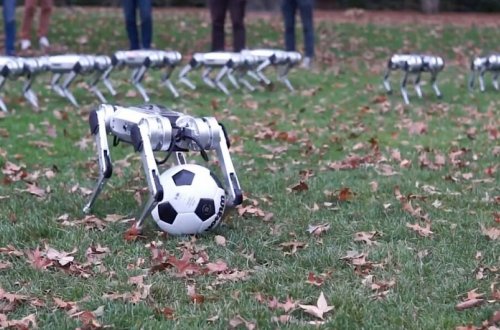 ABŞ alimləri dördayaqlı qapıçı robotu hazırlayıblar