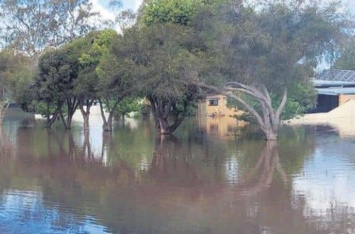 Avstraliyada 34 min evi su basıb