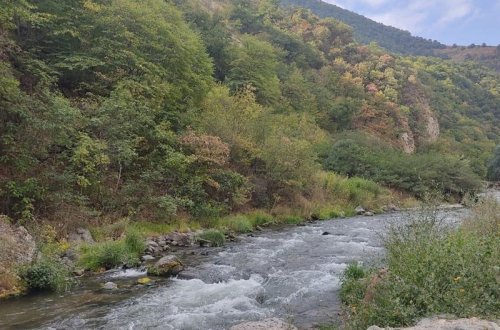 Qarabağa Qırğızıstandan iribuynuzlu heyvanlar gətiriləcək