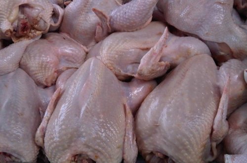 Azərbaycana beş ölkədən quş ətinin idxalına məhdudiyyət qoyulub