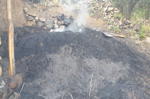 Toğanalıda qanunsuz ağac kömürü istehsal edən 3 ocaqxana və kömür quyusu aşkarlanıb