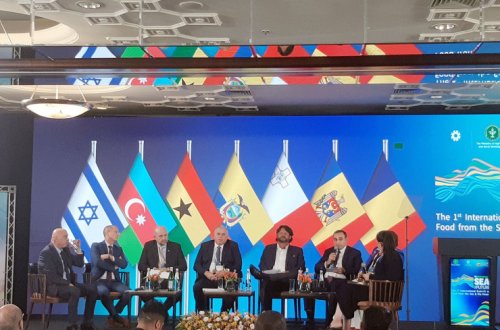 Azərbaycan nümayəndə heyəti İsraildə keçirilən beynəlxalq sammitdə iştirak edib