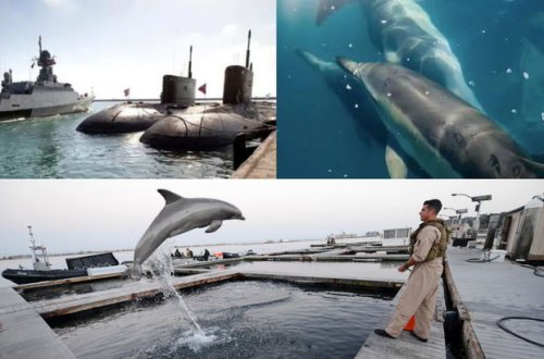 Rusiya Ukraynaya qarşı “gizli” silahdan istifadə edə bilər - FOTO