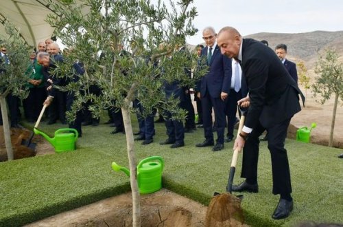İlham Əliyev və Rəcəb Tayyib Ərdoğan Cəbrayılda ağac əkiblər - FOTO