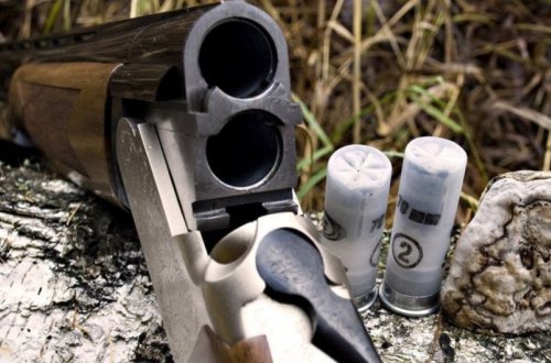 Göygöl sakinlərində narkotik və silah aşkar edilib