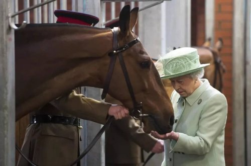 İngiltərə kralı III Çarlz anasından miras qalan atları satışa çıxardı